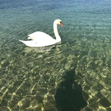 Small Joy Junior Appartamento